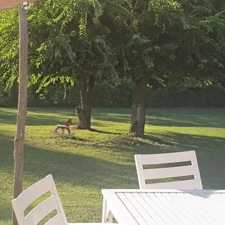 Maison Contemporaine Pres De La