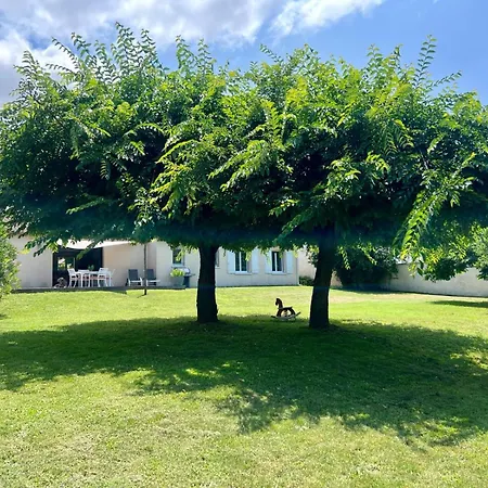 Maison Contemporaine Pres De La